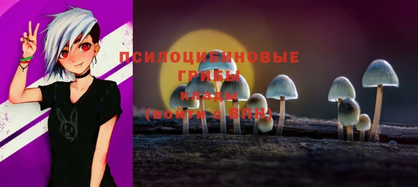 шишки Алексин