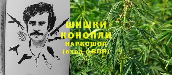 шишки Алексин