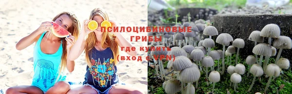 шишки Алексин