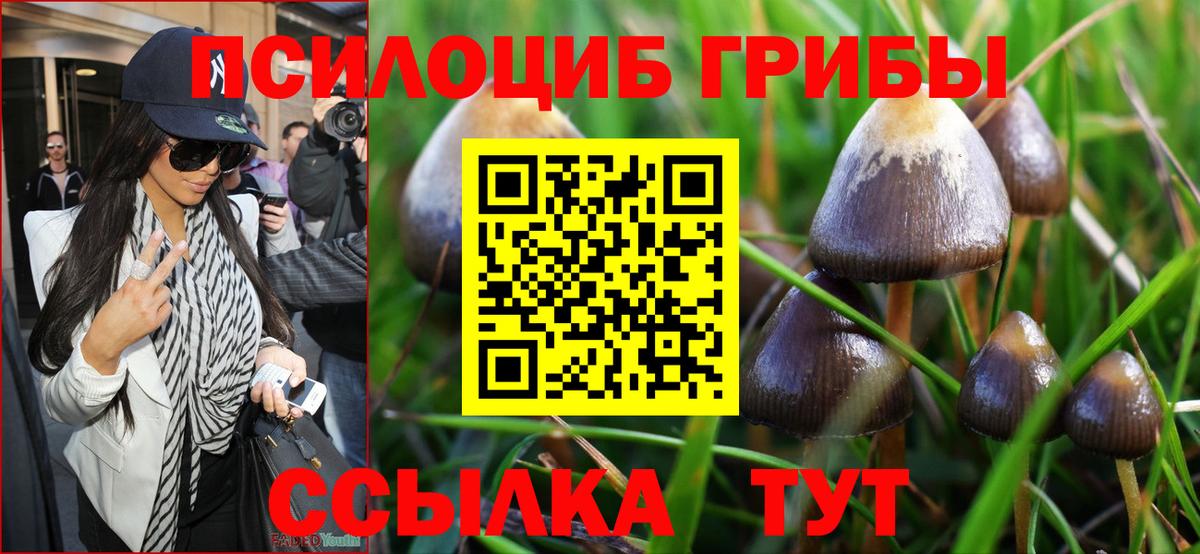 Галлюциногенные грибы MAGIC MUSHROOMS  Вход с VPN  наркота  Псилоцибиновые грибы Cubensis  Курчалой 