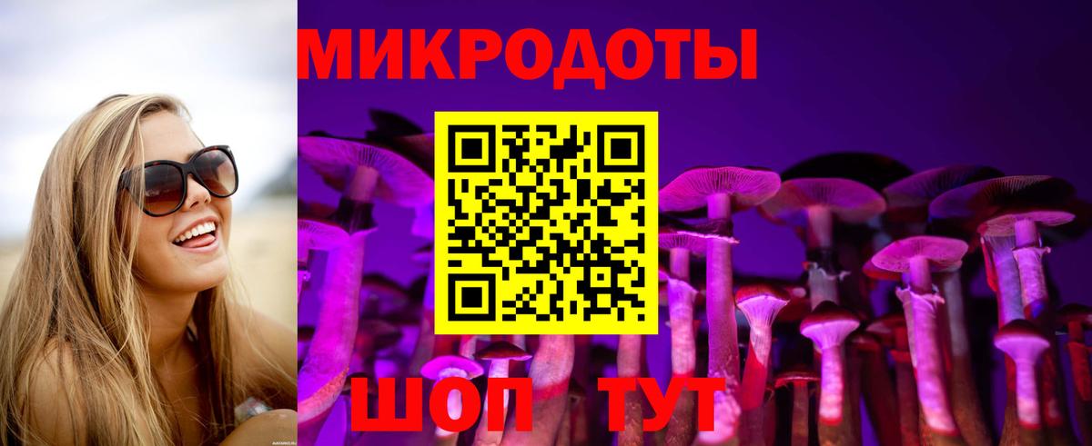 Галлюциногенные грибы MAGIC MUSHROOMS Курчалой
