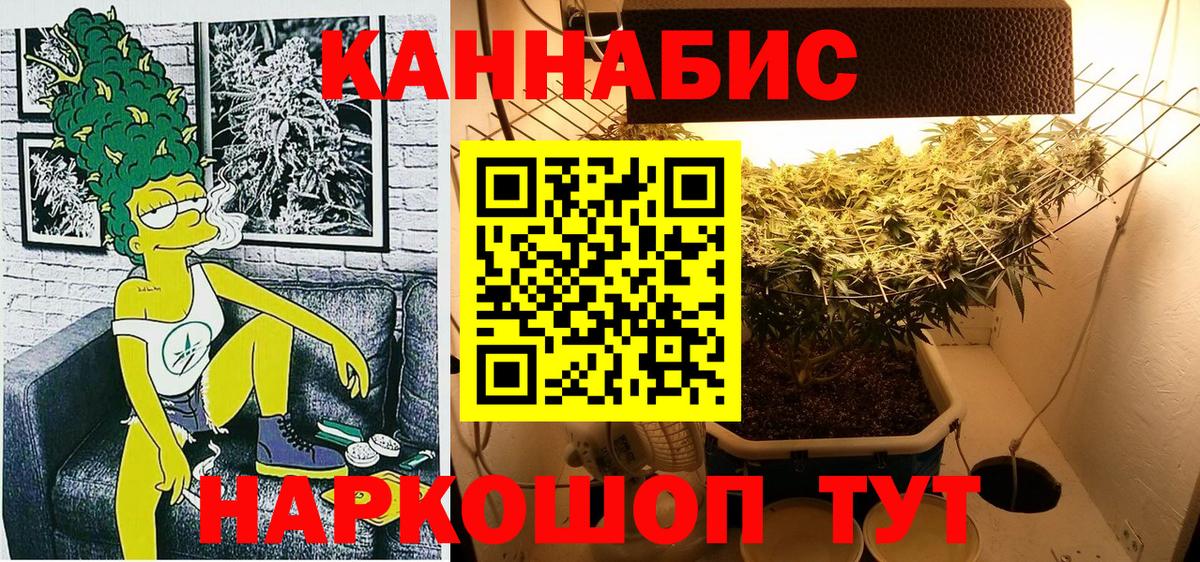 Бошки марихуана VHQ Курчалой